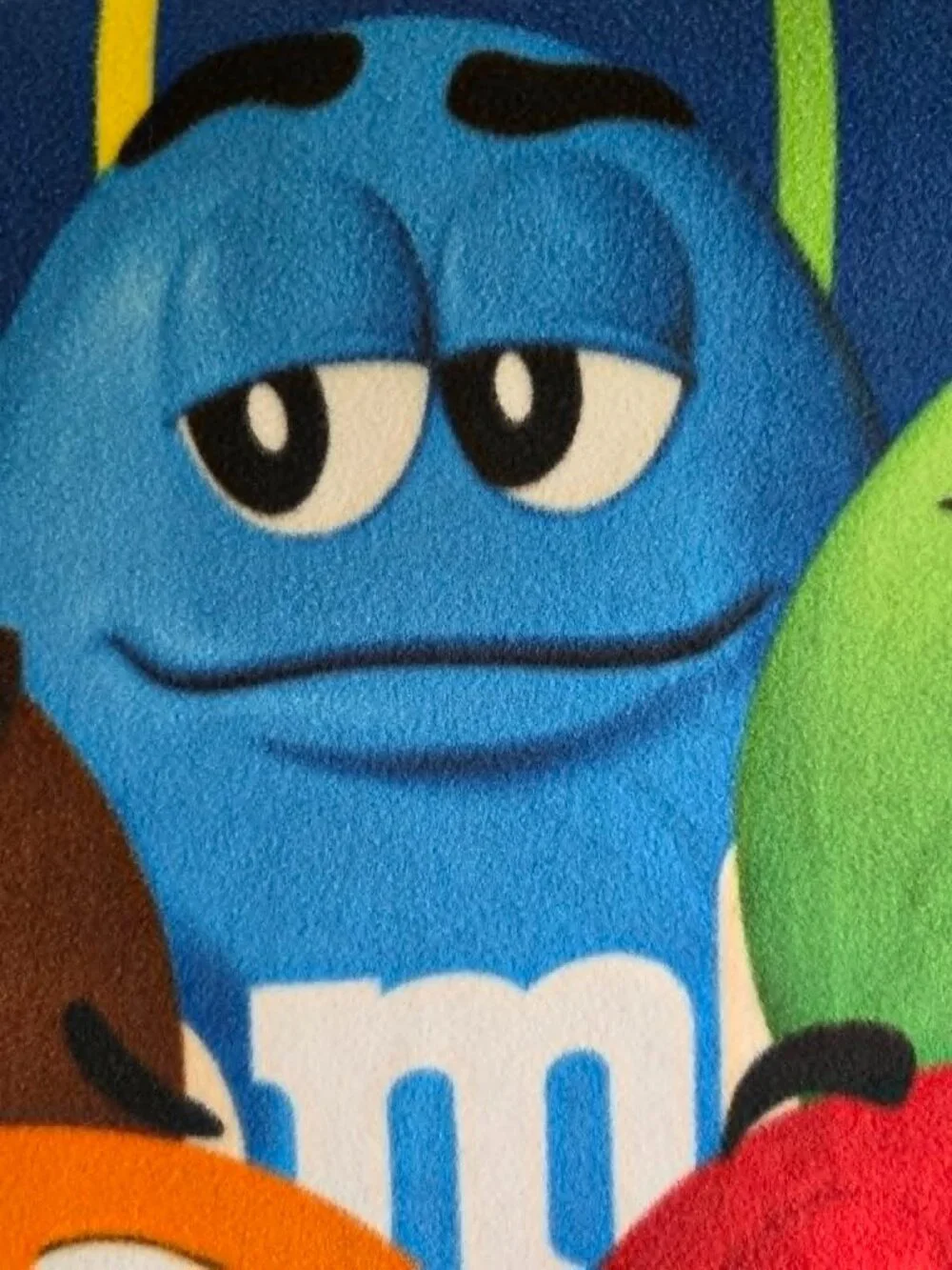 M&Ms World Fleece Throw Blanket 50